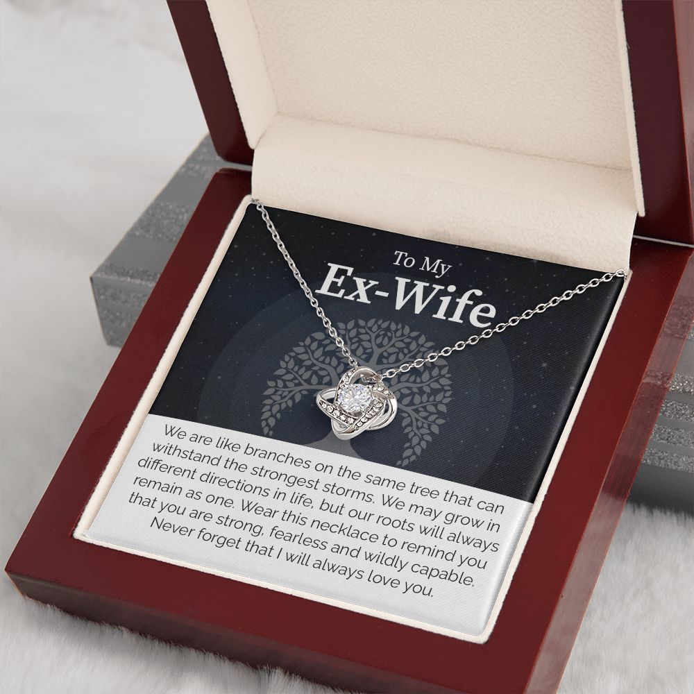 To My Ex-Wife: Love Transcends Labels – From Your Former Husband