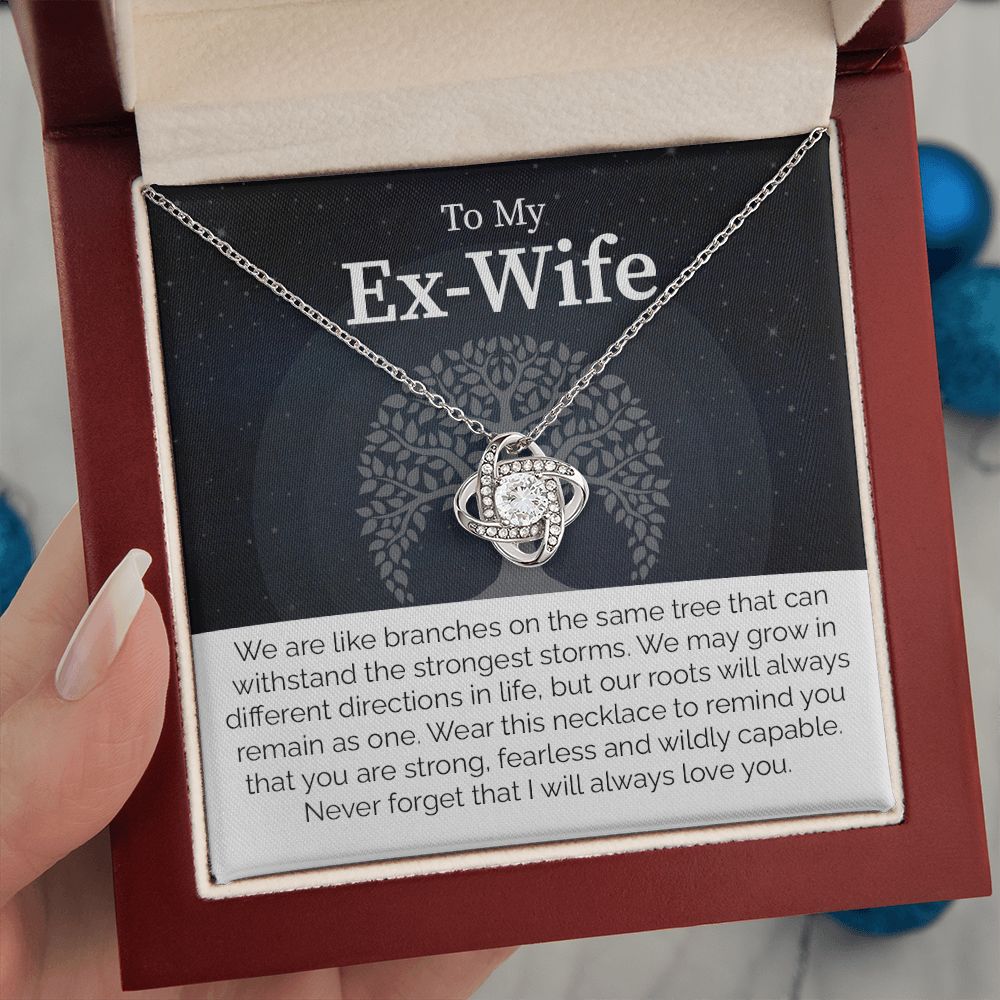 To My Ex-Wife: Love Transcends Labels – From Your Former Husband