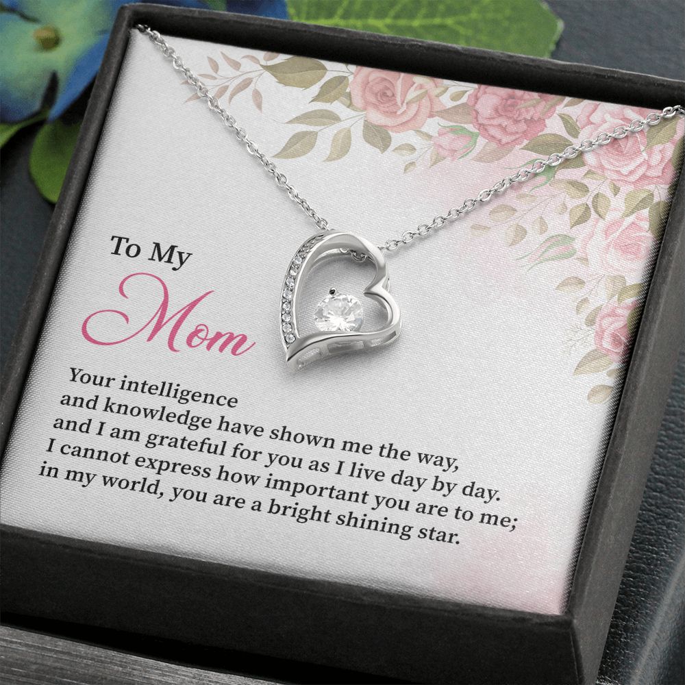 To My Mom I Can't Express How Important You Are To Me