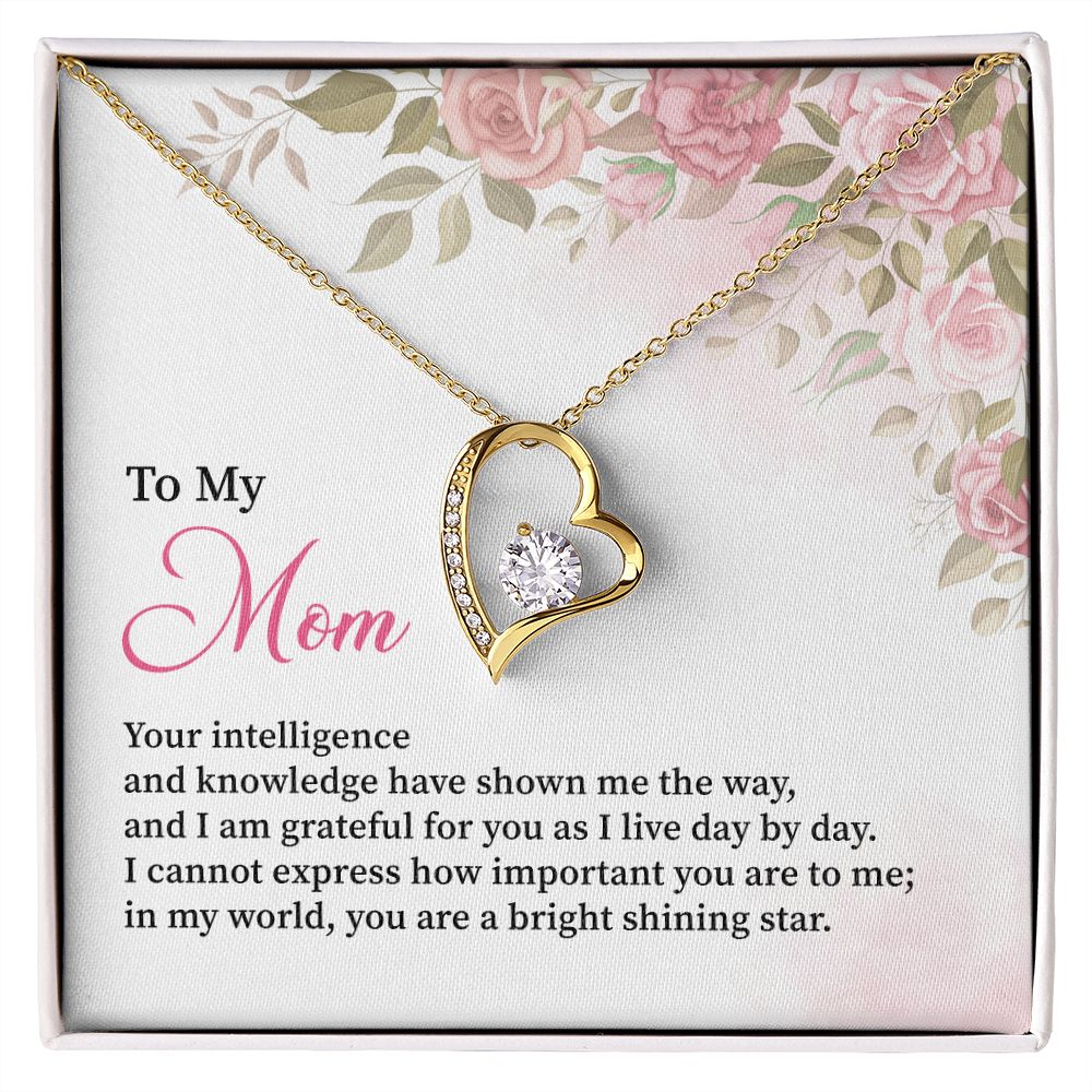 To My Mom I Can't Express How Important You Are To Me
