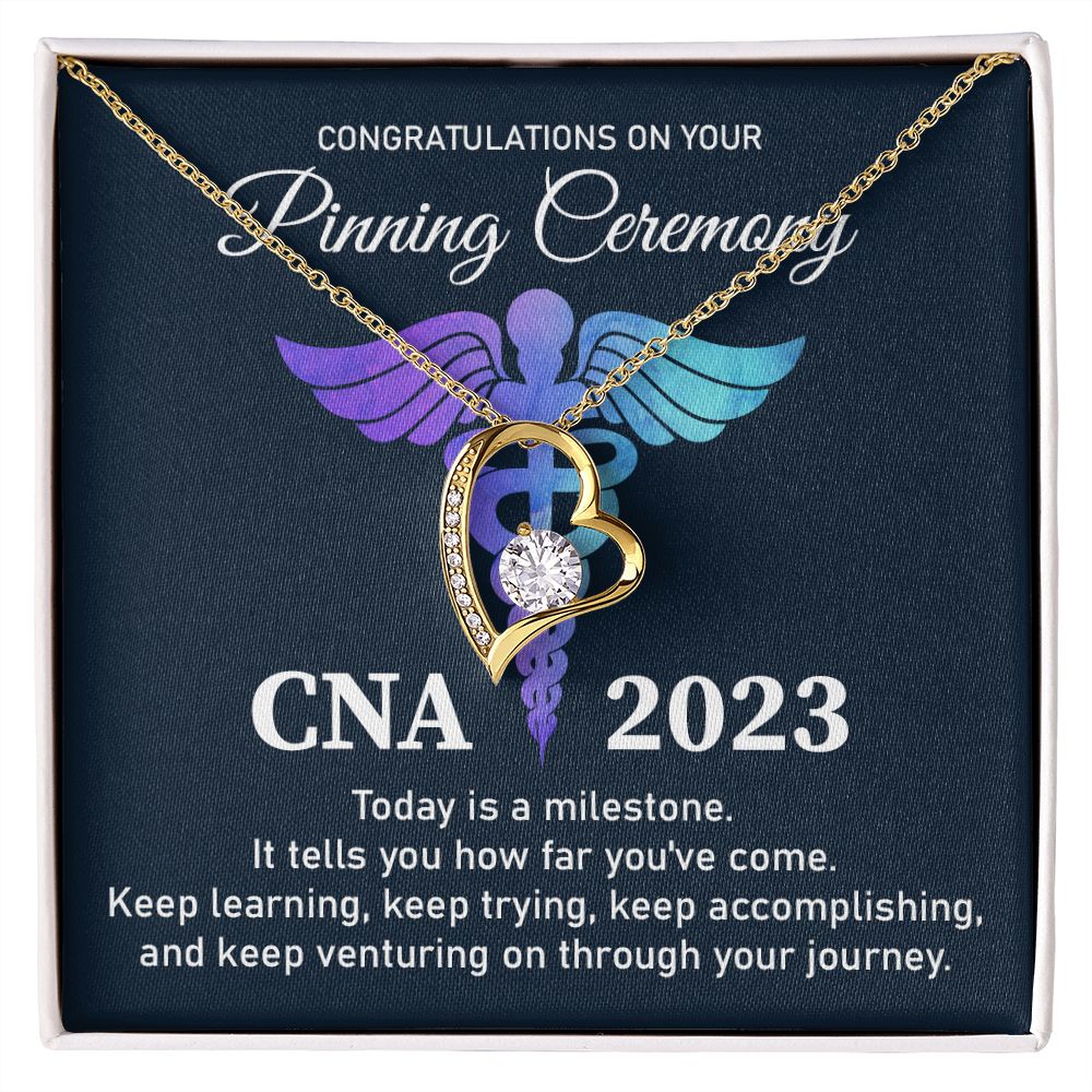 certified nursing assistant (CNA) - 2023