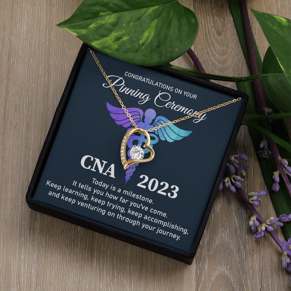 certified nursing assistant (CNA) - 2023
