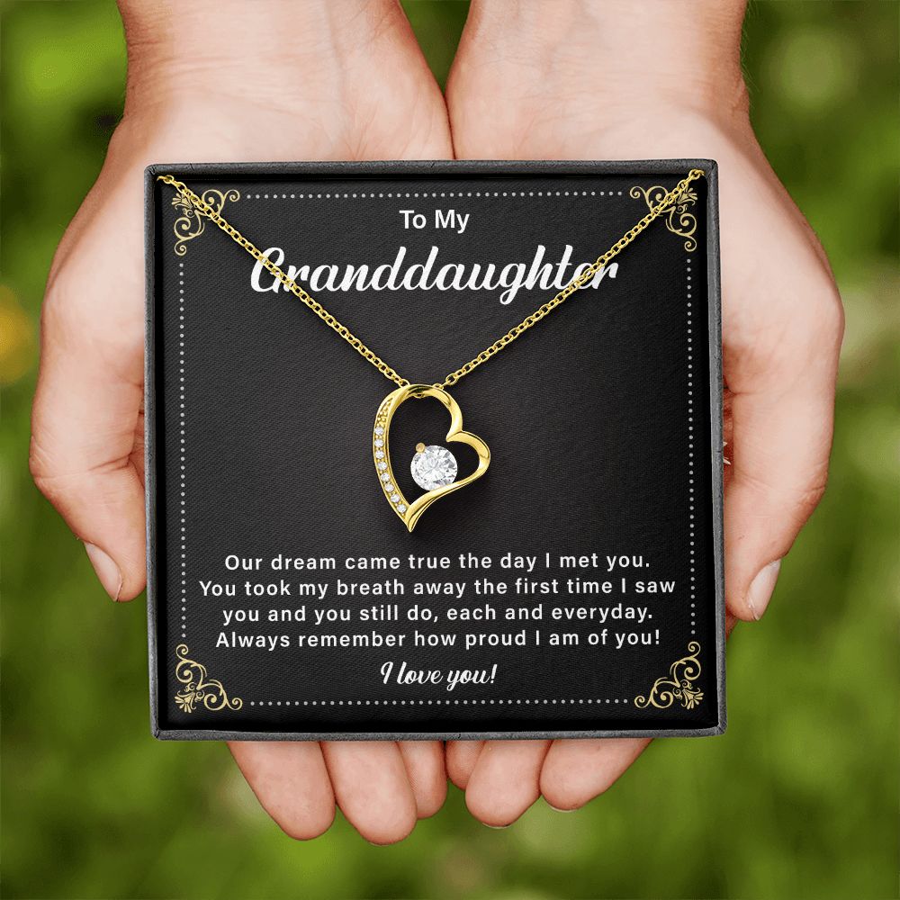 To My Granddaughter Our Dream Came True The Day I Met You
