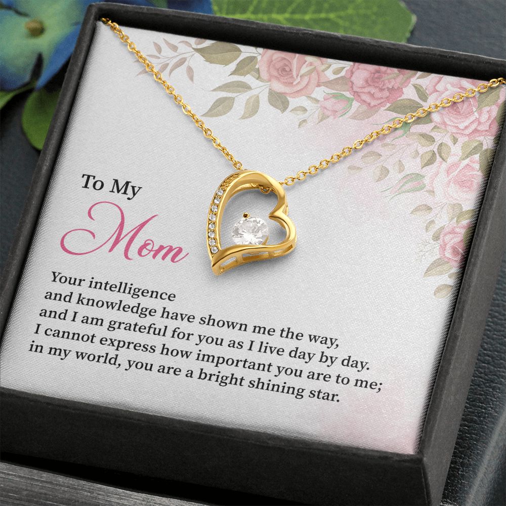 To My Mom I Can't Express How Important You Are To Me