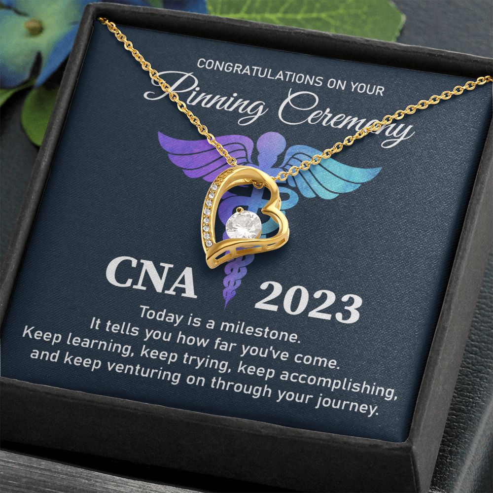 certified nursing assistant (CNA) - 2023
