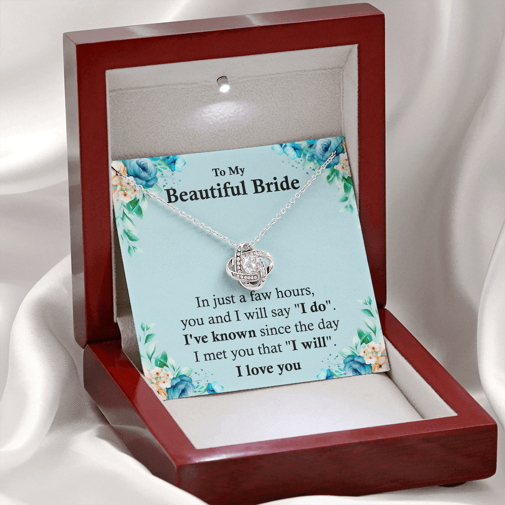 Beautiful Bride Gift Necklace From Groom on Wedding Day
