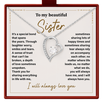 Sister Necklace Gift from Brother or Sister Meaningful Appreciation Jewelry