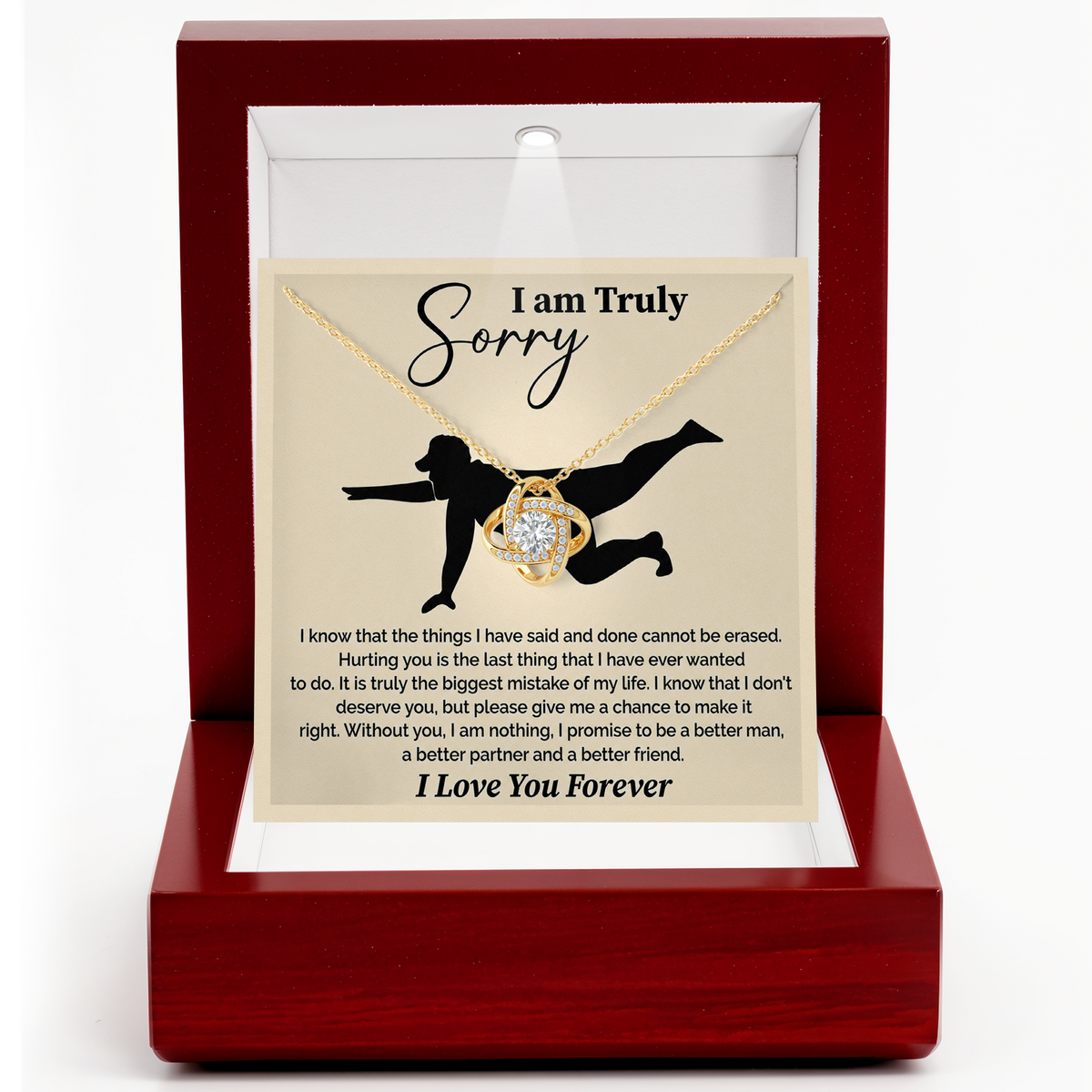 I Am Truly Sorry Necklace for Her Apology Gift for Wife