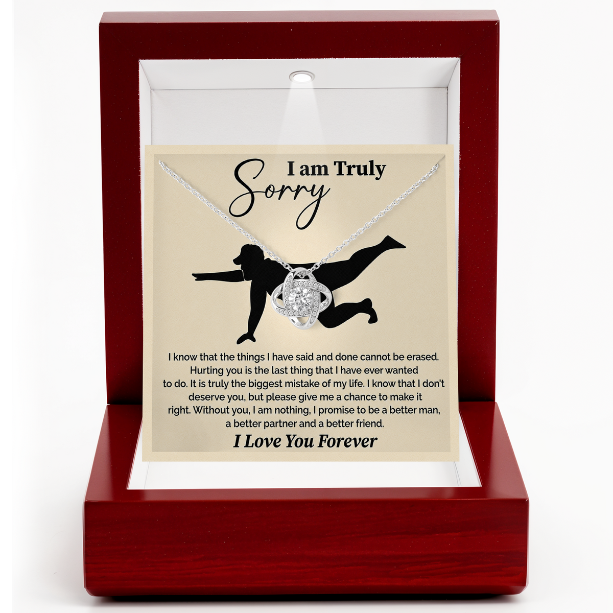 I Am Truly Sorry Necklace for Her Apology Gift for Wife