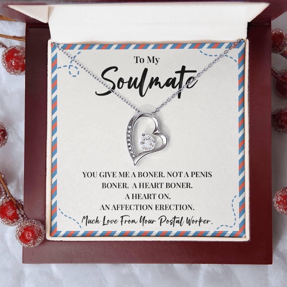 Funny Soulmate Necklace Gift from Postal Worker – Gift Box