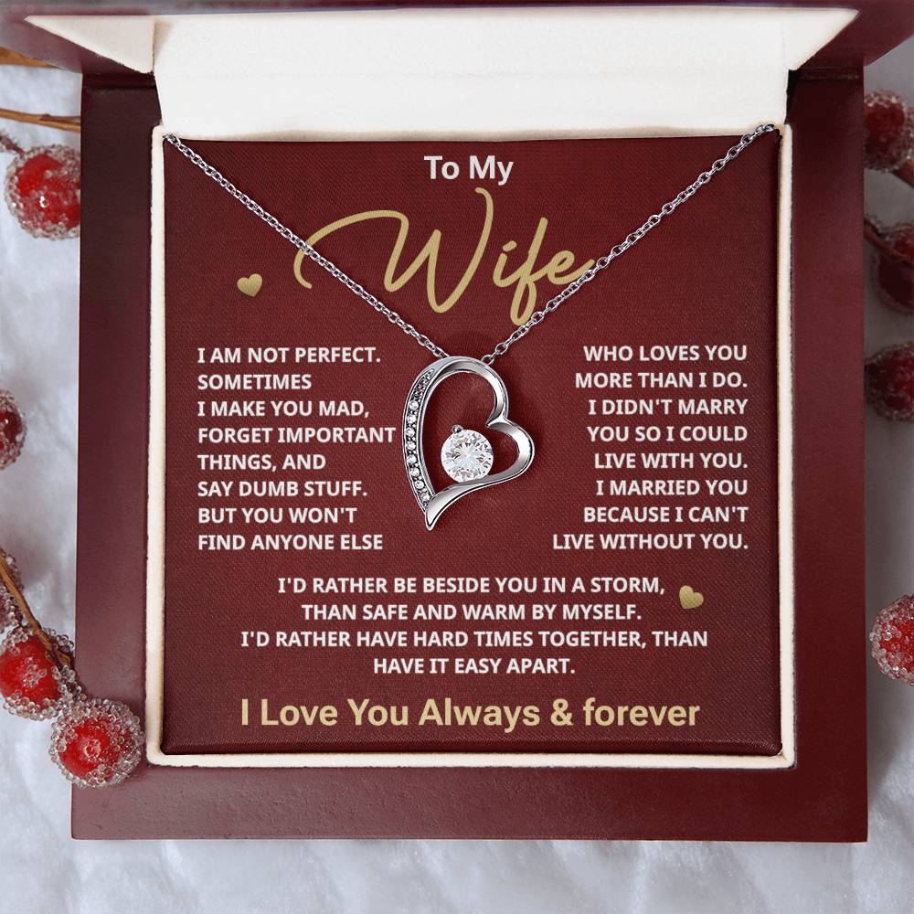 To my Wife
