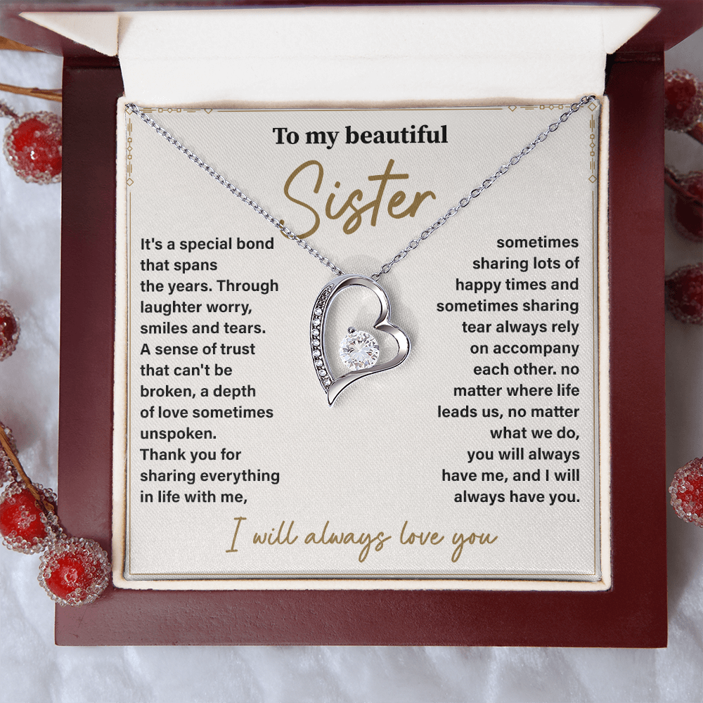 Sister Necklace Gift from Brother or Sister Meaningful Appreciation Jewelry