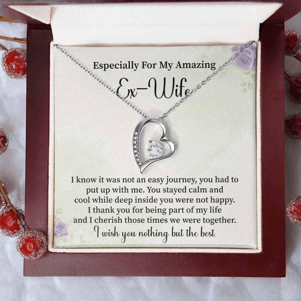 Especially For My Amazing Ex-wife Necklace Gift.