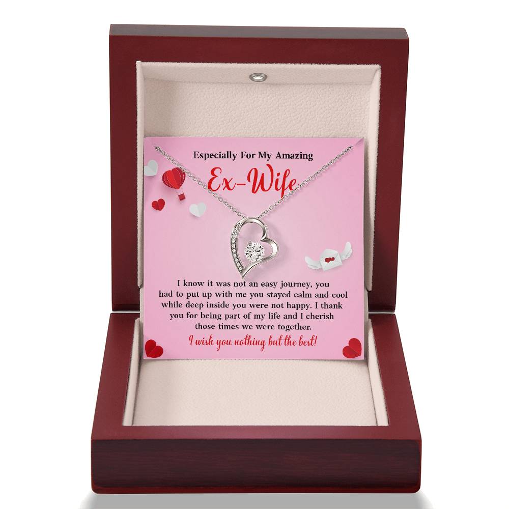 Especially For My Amazing Ex-wife, Necklace Gift Sentimental Ex-wife Jewelry Thank You Necklace Gift Necklace With Emotional Message Meaningful Jewelry For Ex-wife Memories Together Necklace