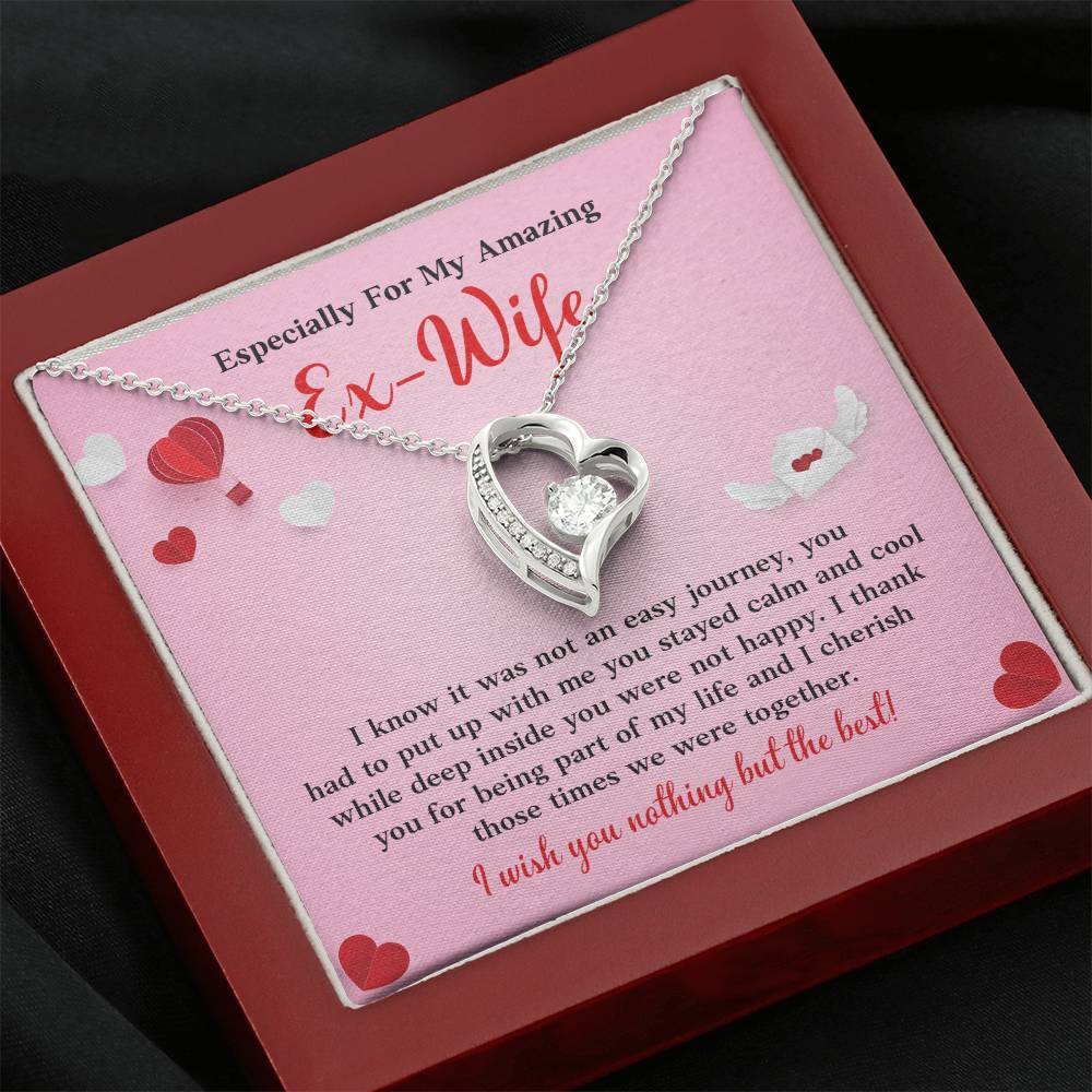 Especially For My Amazing Ex-wife, Necklace Gift Sentimental Ex-wife Jewelry Thank You Necklace Gift Necklace With Emotional Message Meaningful Jewelry For Ex-wife Memories Together Necklace