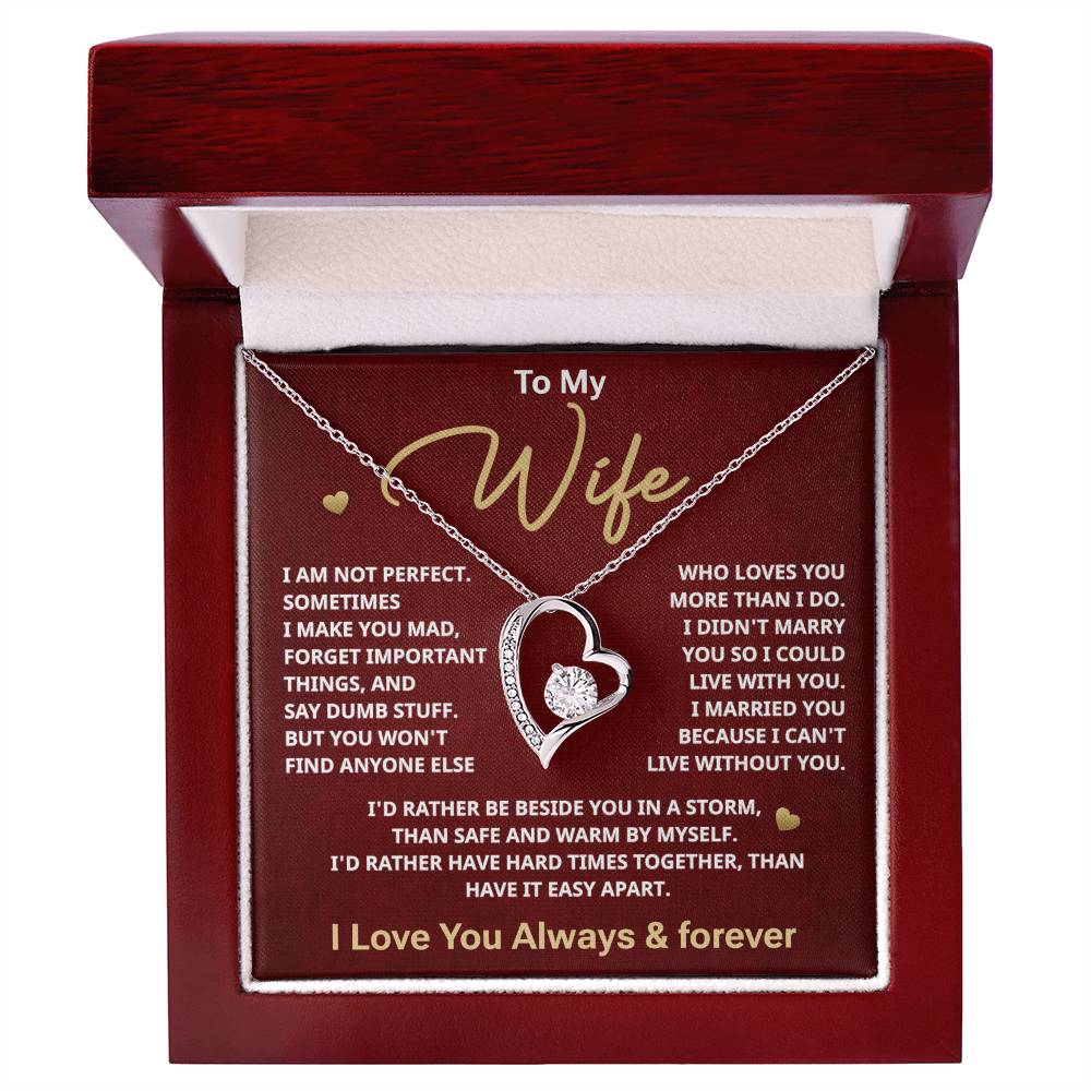 To my Wife