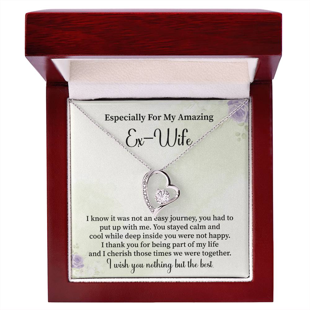 Especially For My Amazing Ex-wife Necklace Gift.