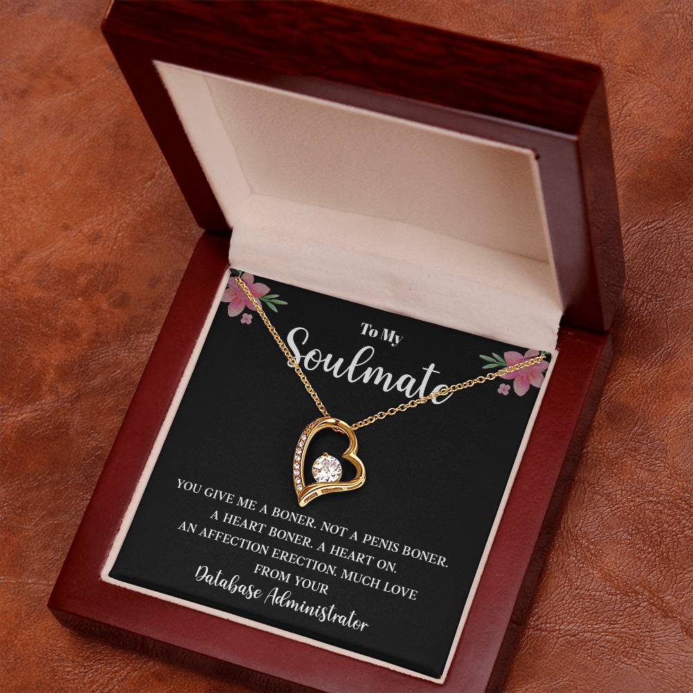 Funny Gift for Soulmate from Database Admin
