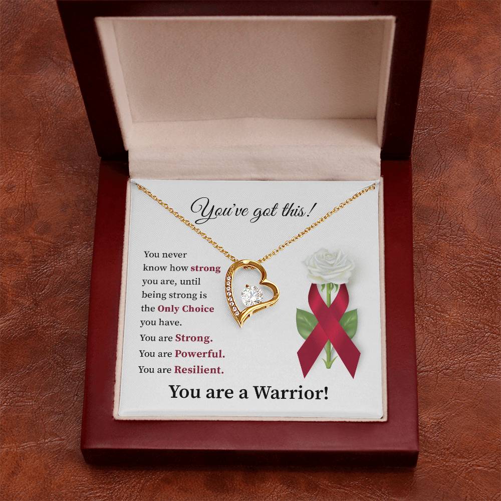 You’ve Got This Warrior Heart Necklace Strength & Encouragement Gift for Her
