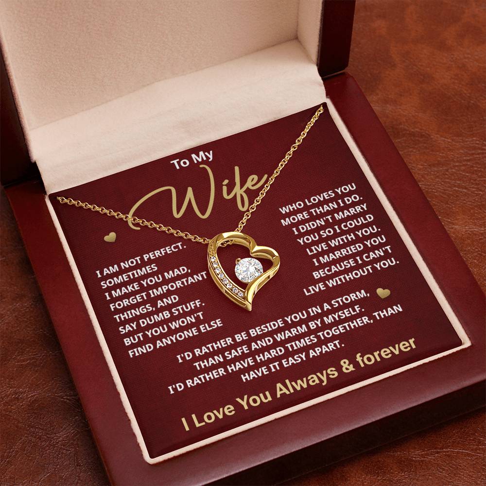 To my Wife