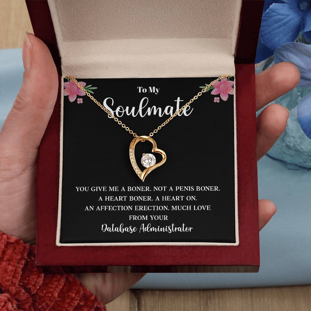 Funny Gift for Soulmate from Database Admin