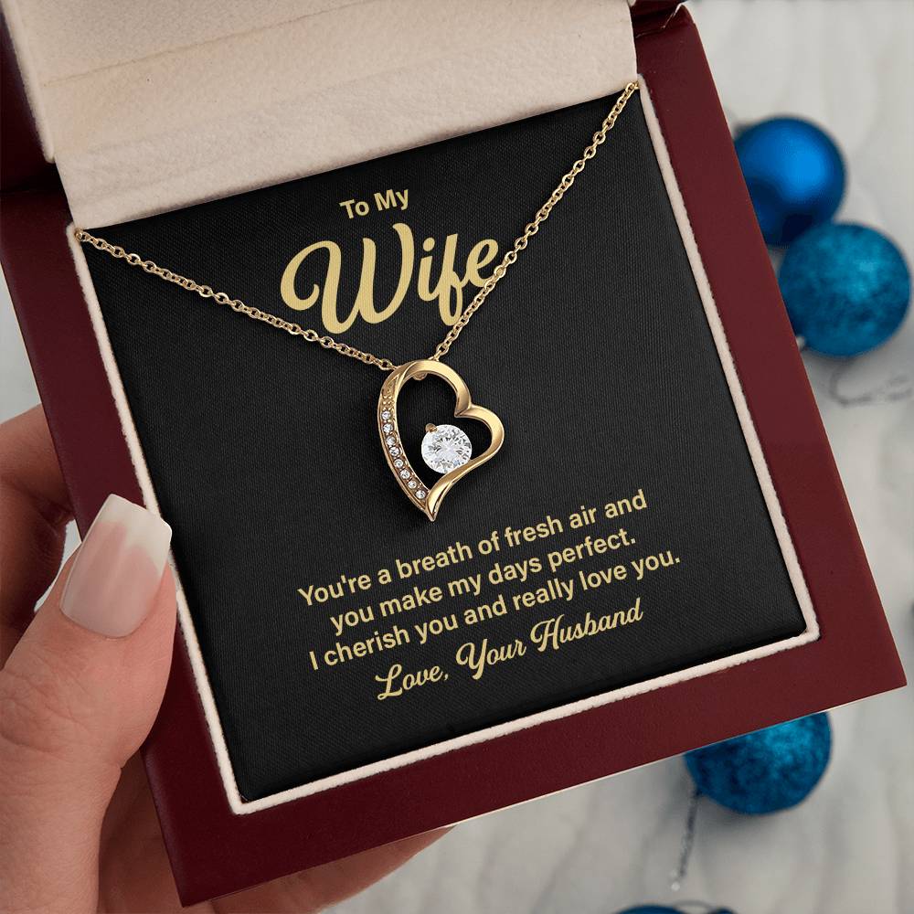 Anniversary Necklace Gift for Wife from Husband – Message Card