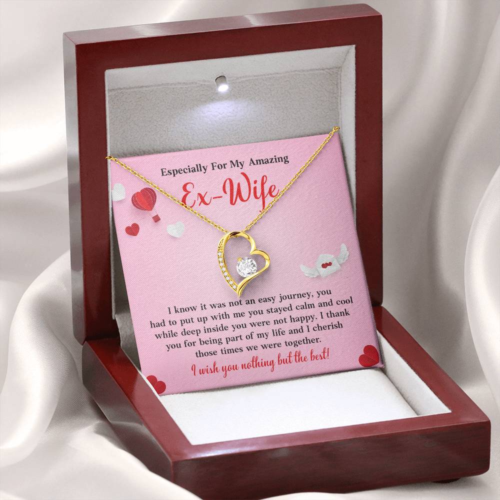 Especially For My Amazing Ex-wife, Necklace Gift Sentimental Ex-wife Jewelry Thank You Necklace Gift Necklace With Emotional Message Meaningful Jewelry For Ex-wife Memories Together Necklace