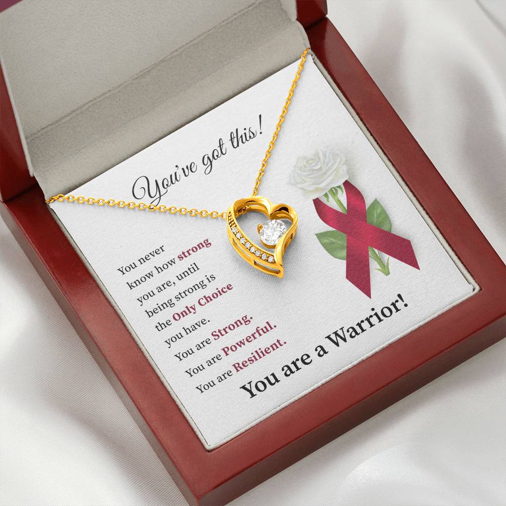 You’ve Got This Warrior Heart Necklace Strength & Encouragement Gift for Her