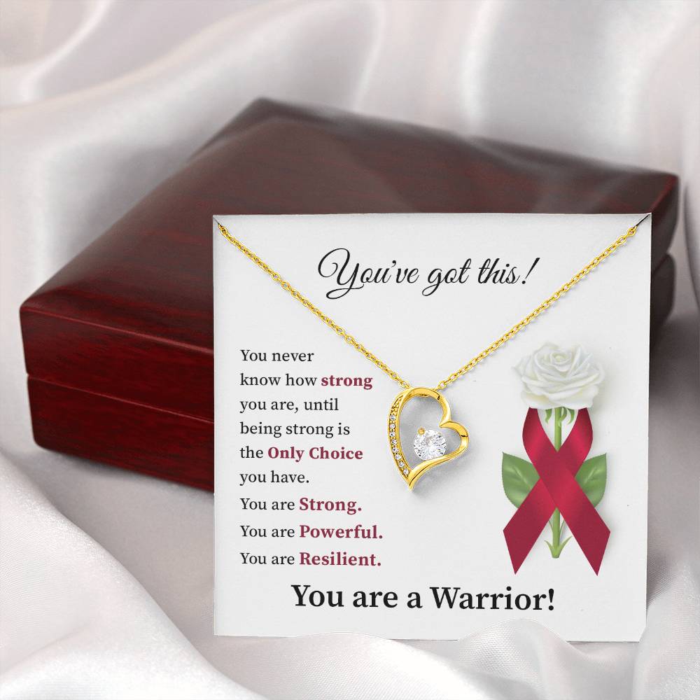 You’ve Got This Warrior Heart Necklace Strength & Encouragement Gift for Her