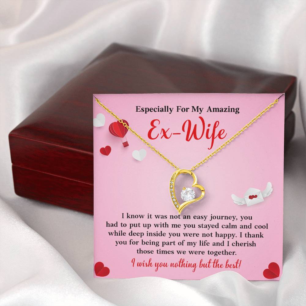 Especially For My Amazing Ex-wife, Necklace Gift Sentimental Ex-wife Jewelry Thank You Necklace Gift Necklace With Emotional Message Meaningful Jewelry For Ex-wife Memories Together Necklace