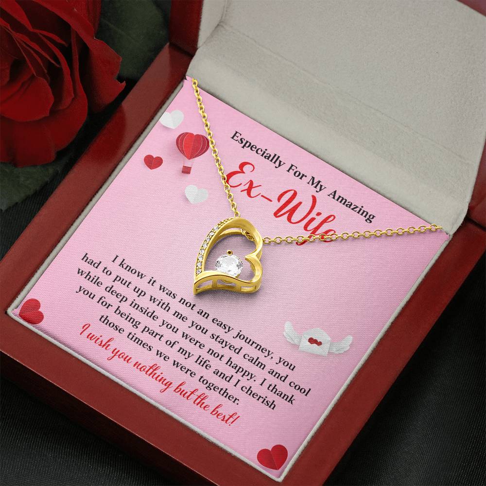 Especially For My Amazing Ex-wife, Necklace Gift Sentimental Ex-wife Jewelry Thank You Necklace Gift Necklace With Emotional Message Meaningful Jewelry For Ex-wife Memories Together Necklace