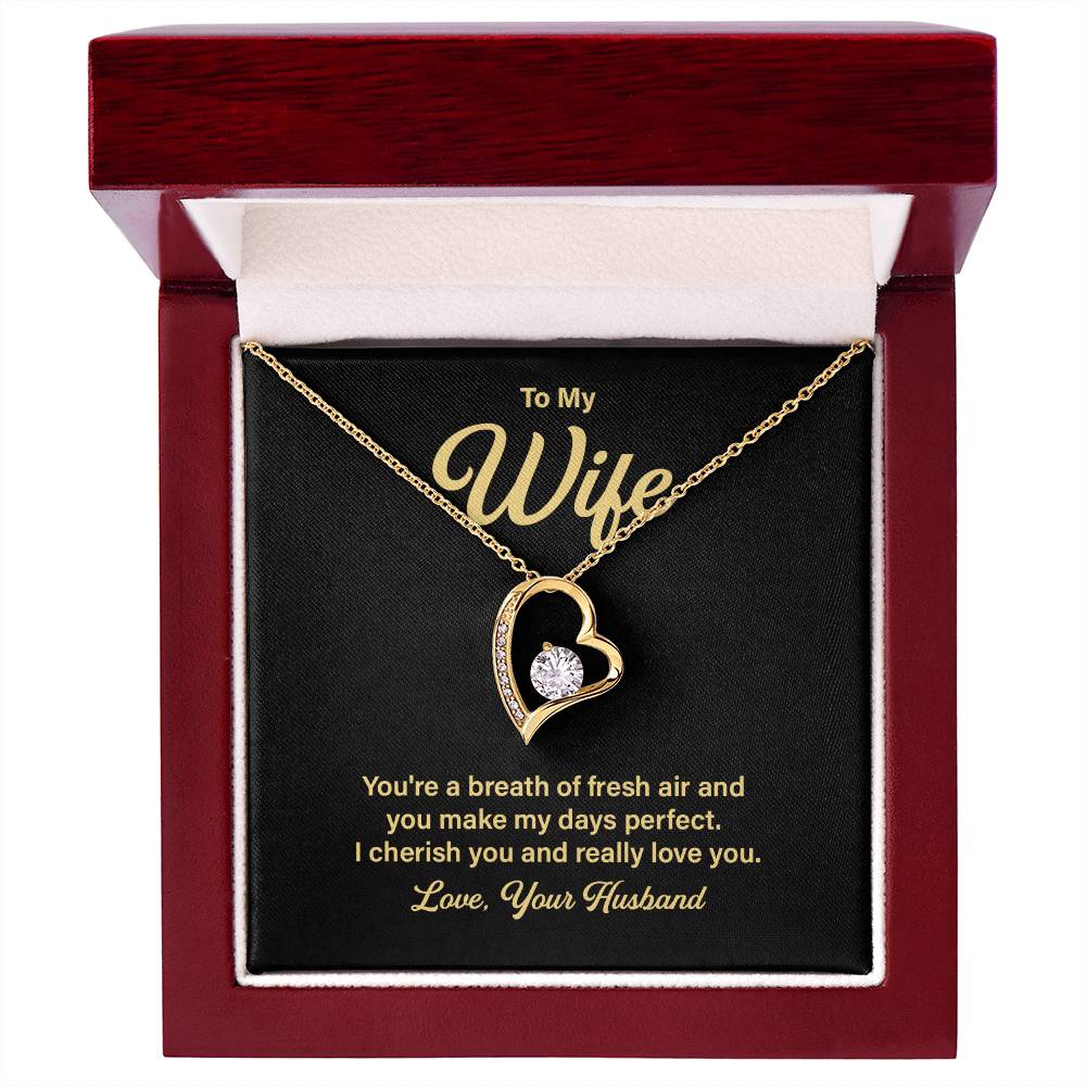 Anniversary Necklace Gift for Wife from Husband – Message Card