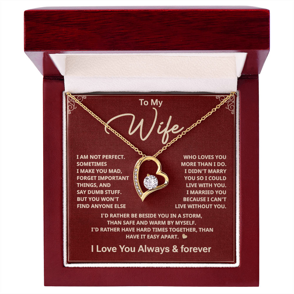To my Wife