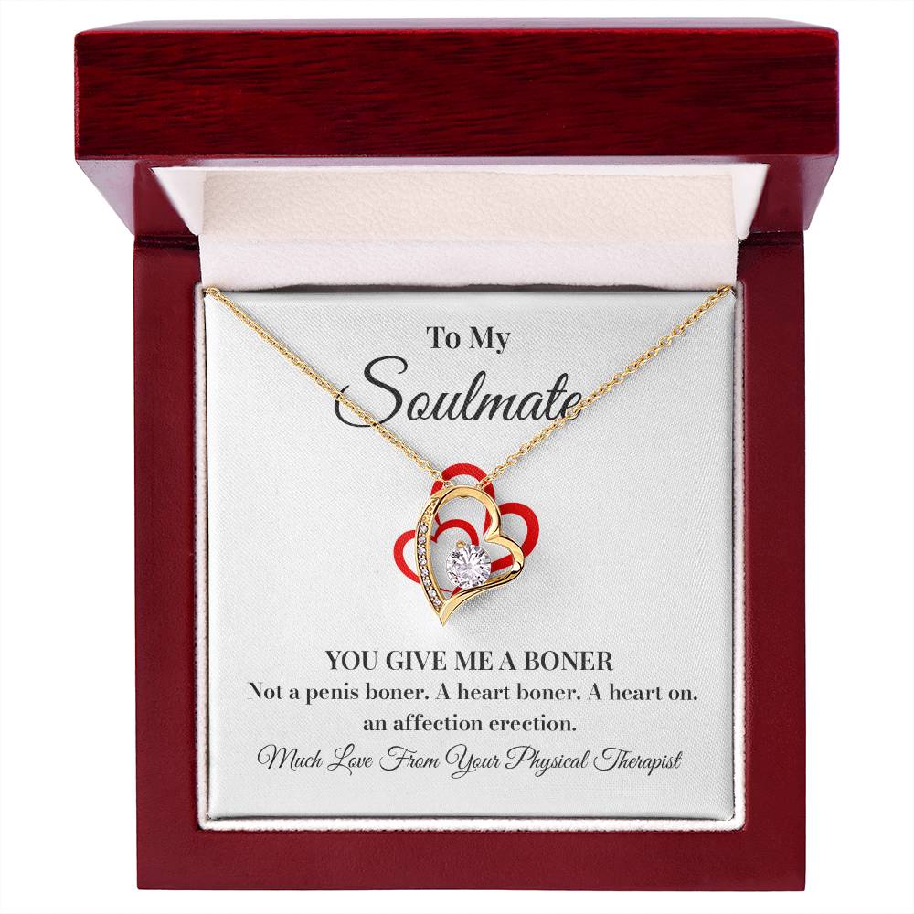 Soulmate Necklace Gift from Physical Therapist