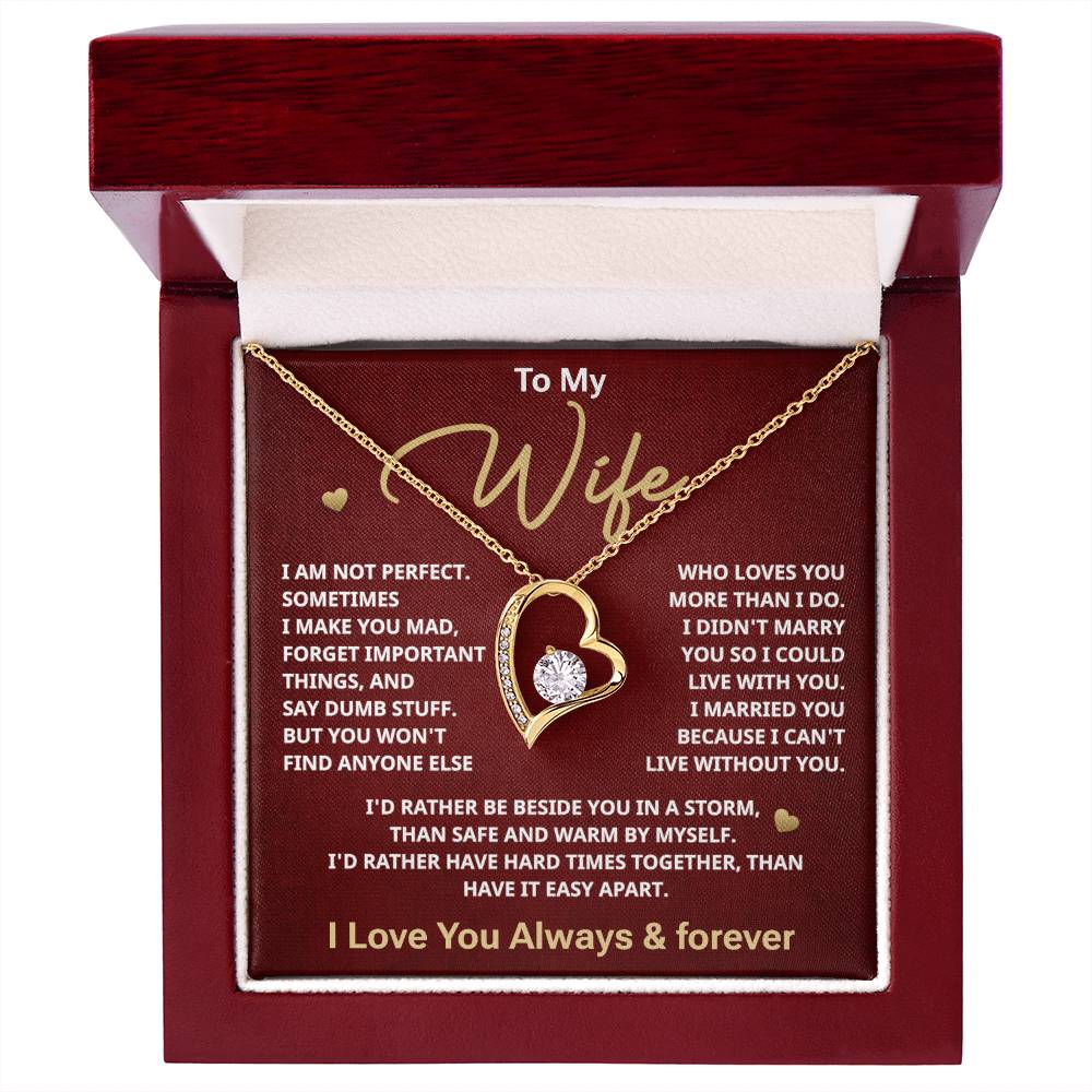 To my Wife