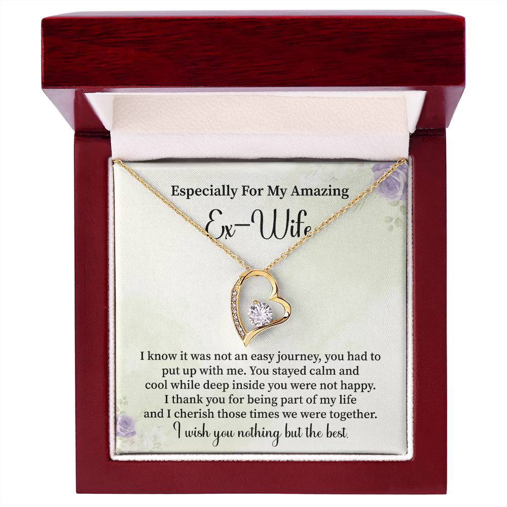 Especially For My Amazing Ex-wife Necklace Gift.
