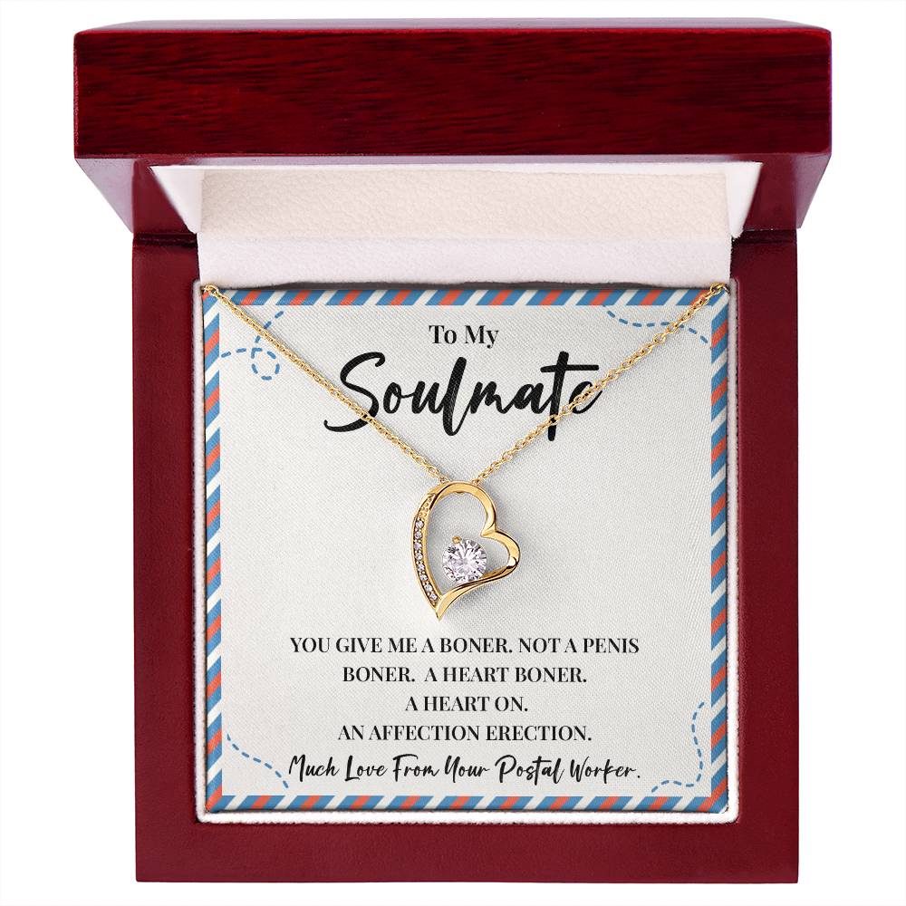 Funny Postal Worker Gift for Soulmate Necklace Box
