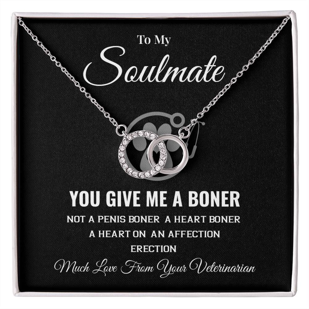 Funny Soulmate Gift from Veterinarian – Message Box
