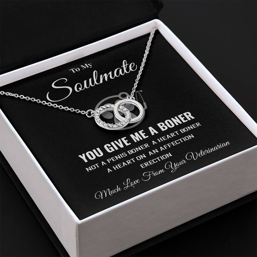 Funny Soulmate Gift from Veterinarian – Message Box