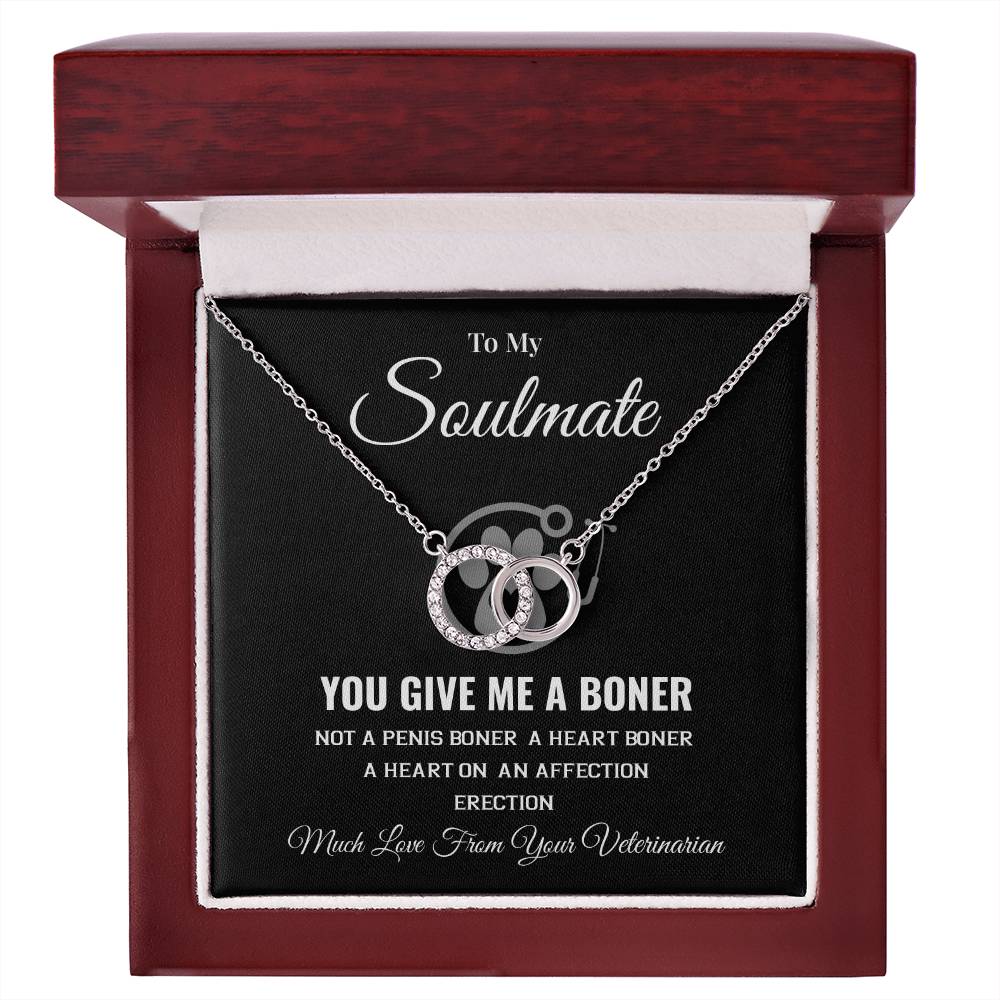 Funny Soulmate Gift from Veterinarian – Message Box