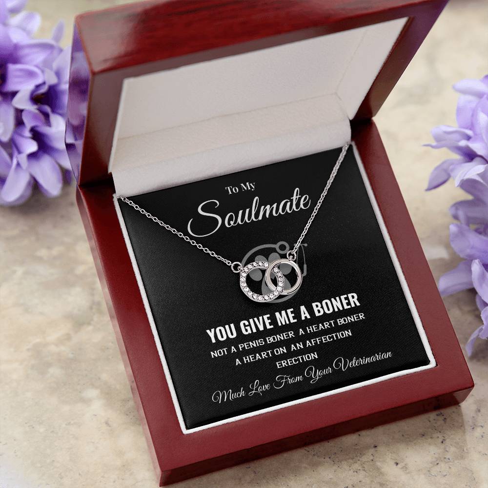 Funny Soulmate Gift from Veterinarian – Message Box