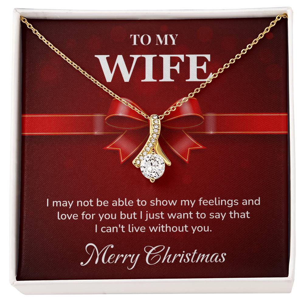 Christmas Gift for Wife Elegant Necklace with Message Card