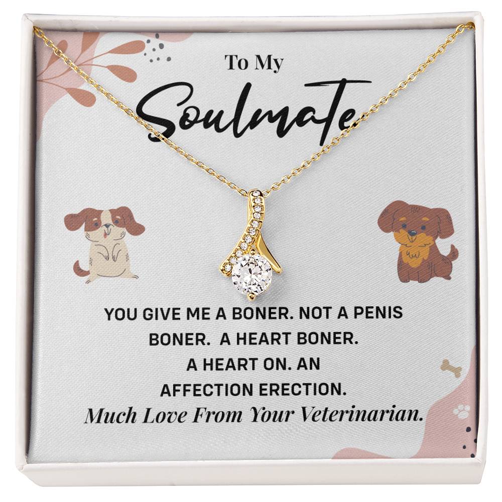 Funny Gift for Girlfriend from Vet Soulmate Necklace