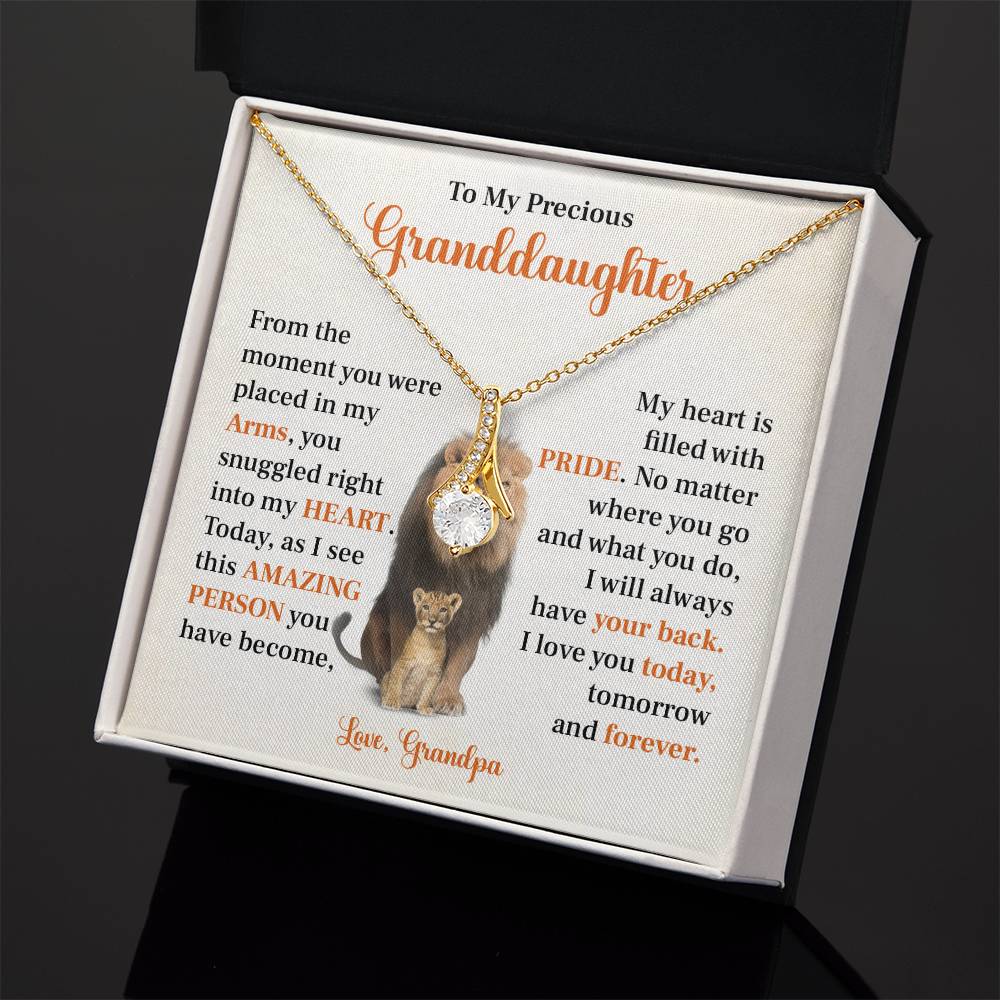 To my precious granddaughter Gift from Grandpa