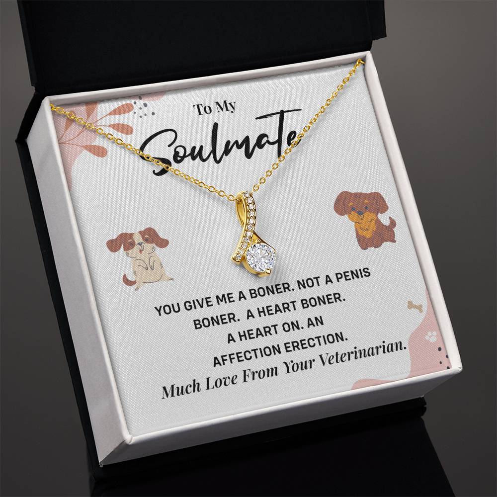 Funny Gift for Girlfriend from Vet Soulmate Necklace