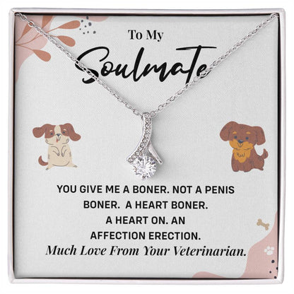 Funny Gift for Girlfriend from Vet Soulmate Necklace