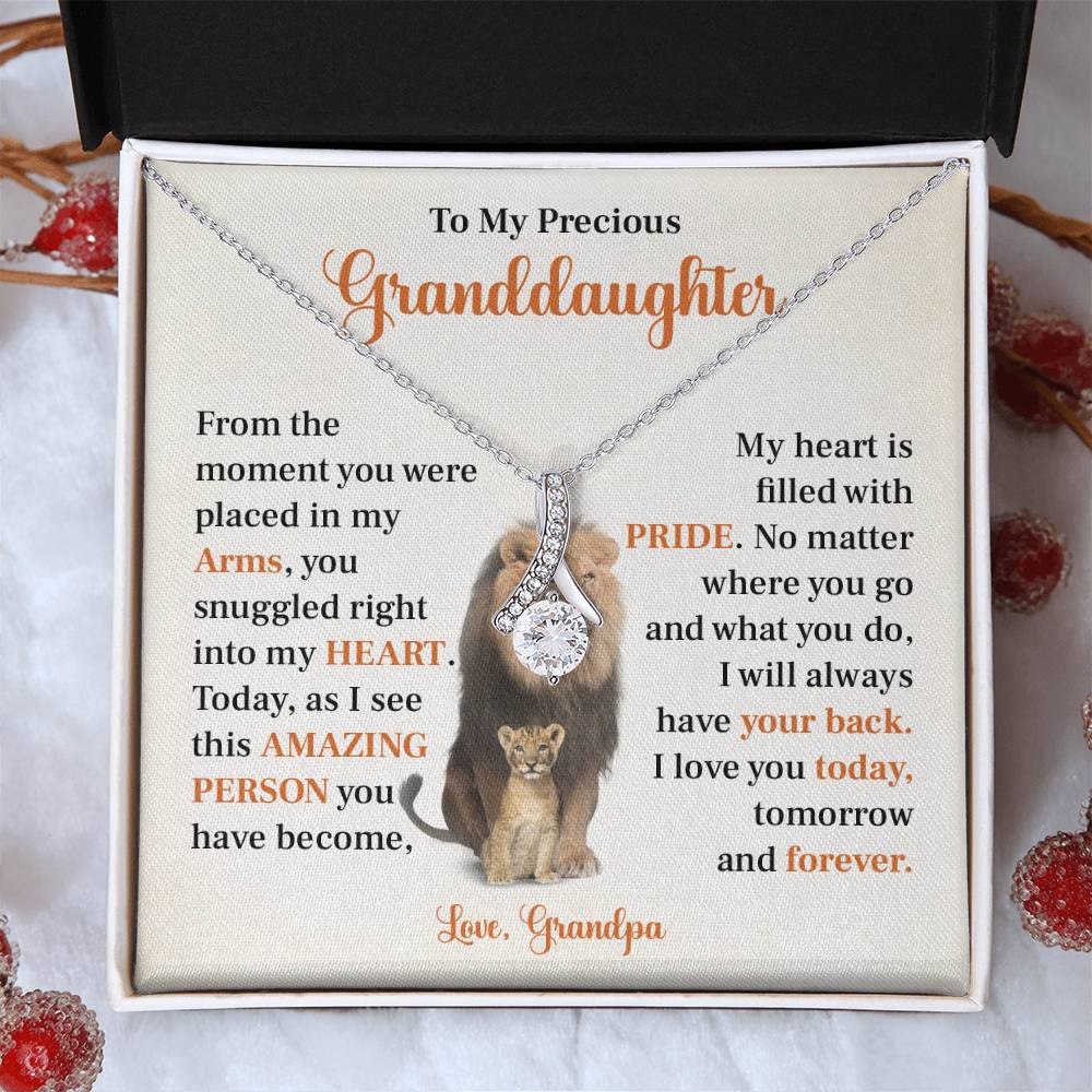To my precious granddaughter Gift from Grandpa