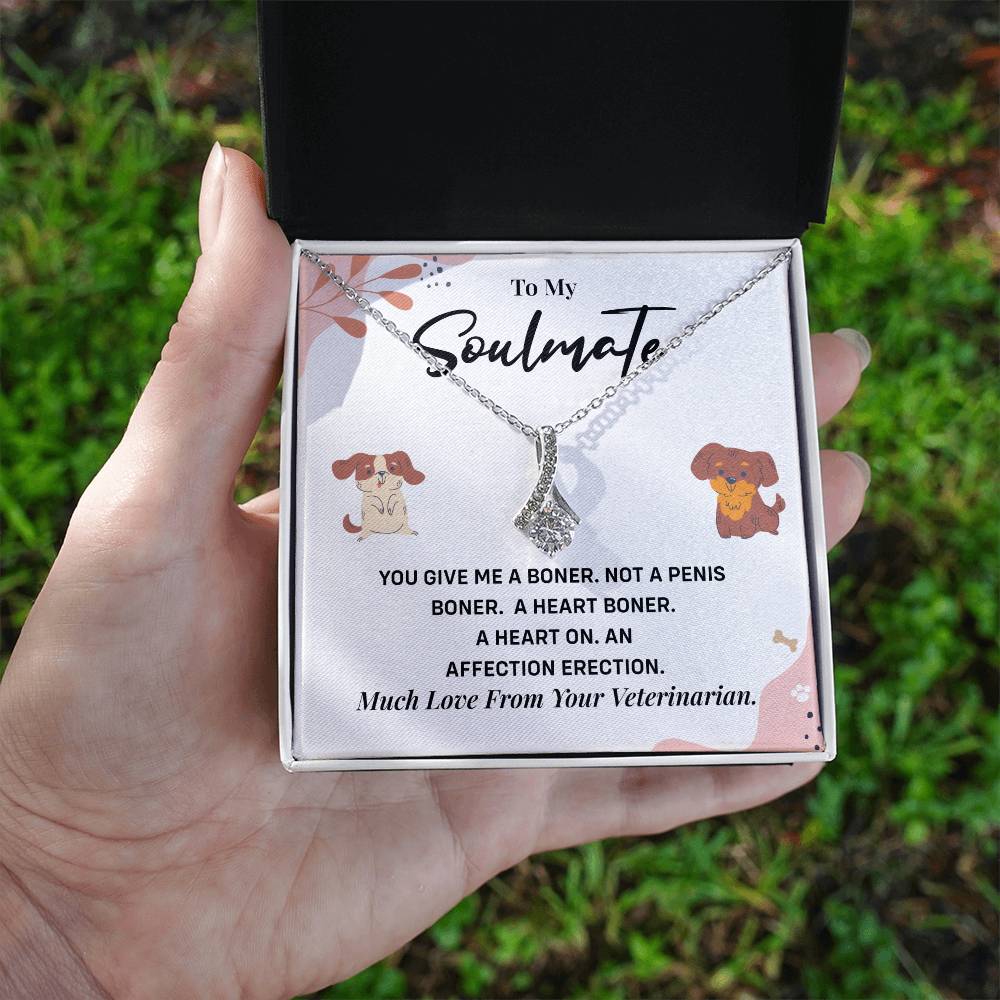 Funny Necklace Gift for Soulmate – Vet Message Card