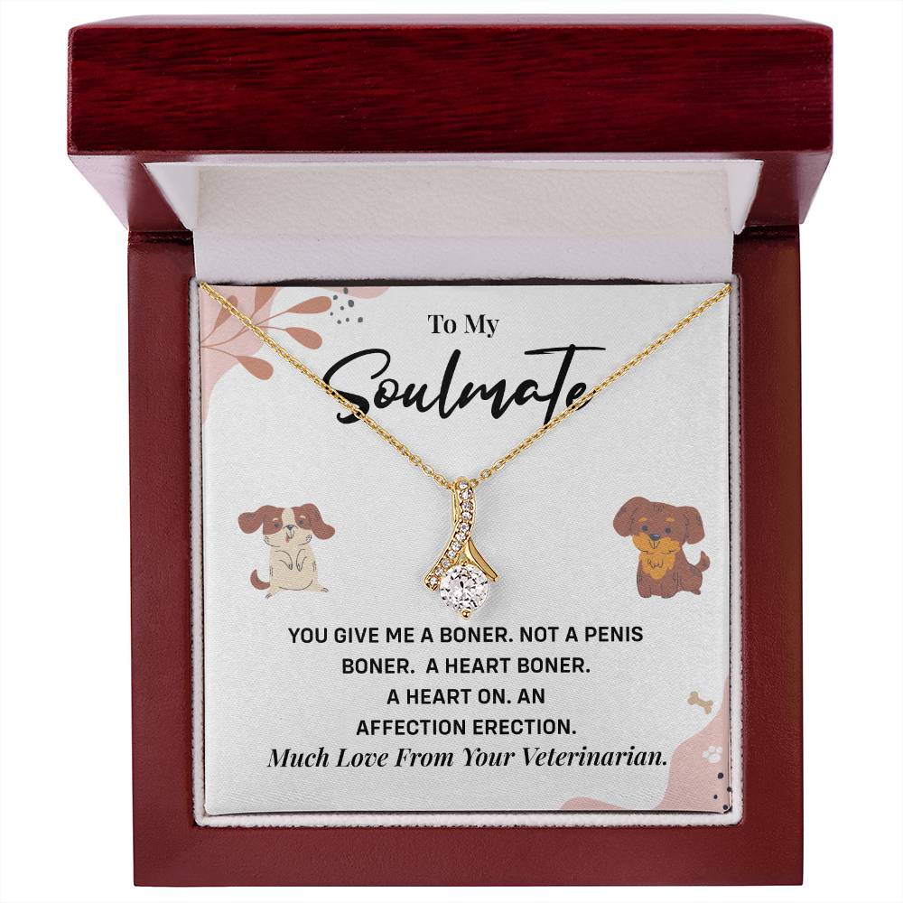 Funny Gift for Girlfriend from Vet Soulmate Necklace