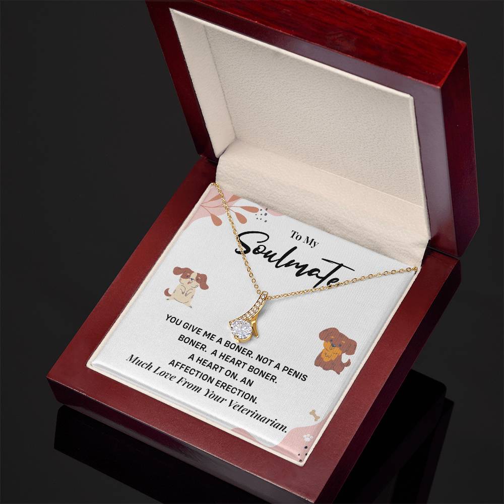 Funny Necklace Gift for Soulmate – Vet Message Card